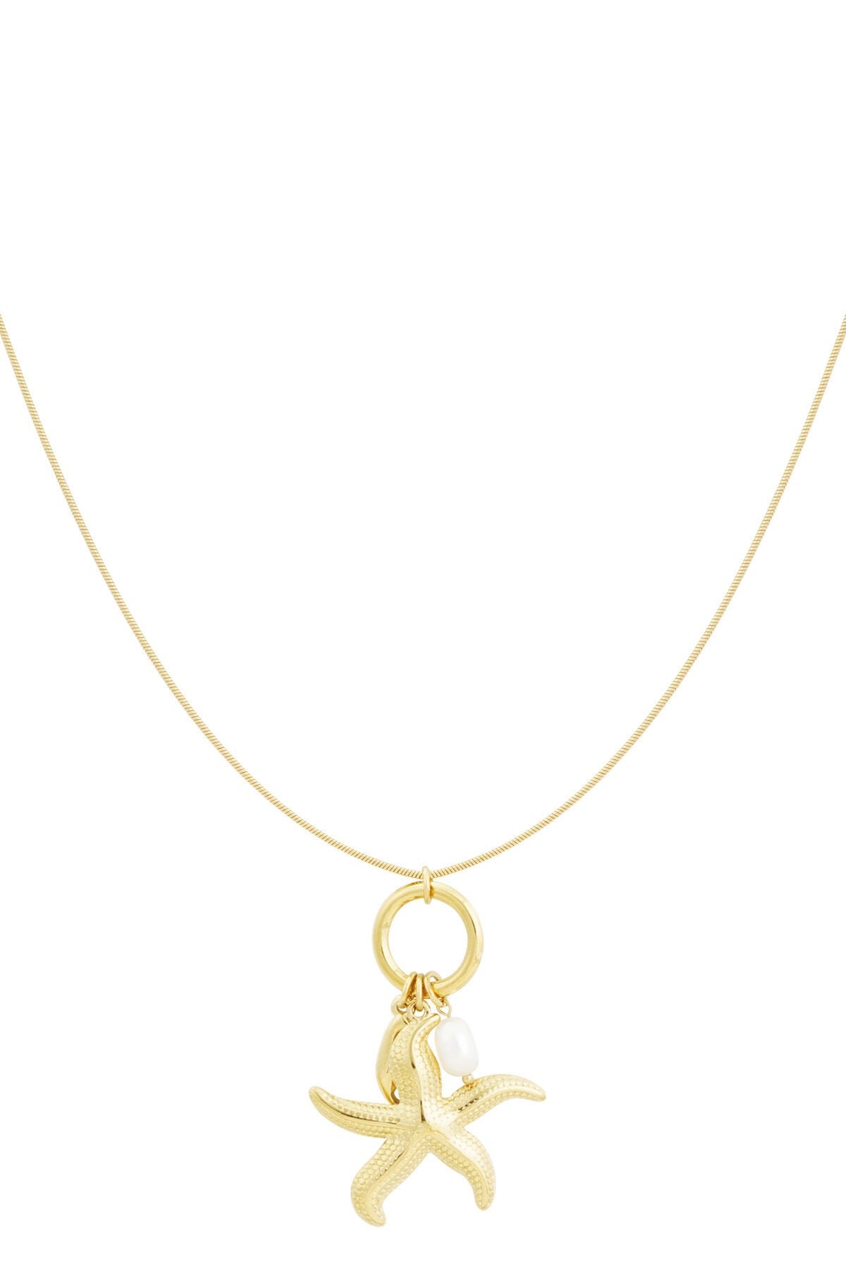 Star of the sea ketting - goud